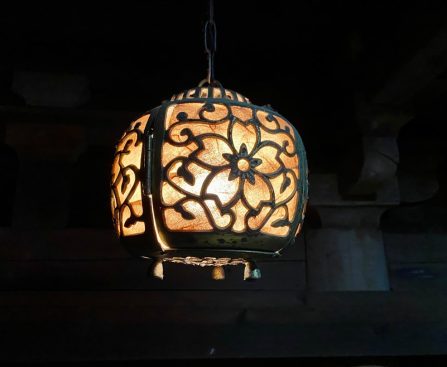 Photo Shell Wall Lamp