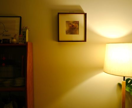 Photo resin wall lamp