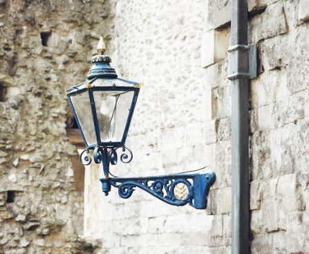 Photo Retro Lion Wall Lamp