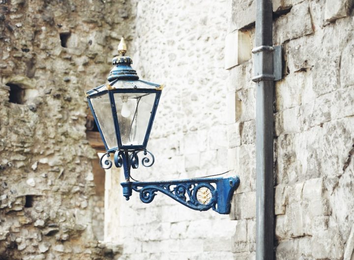 Photo Retro Lion Wall Lamp