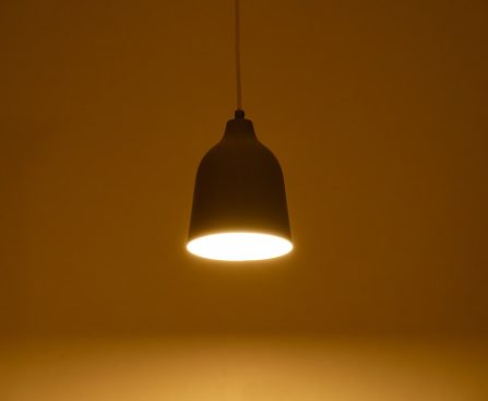 Photo pendant lamp