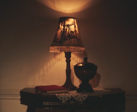 Photo desk lamp